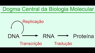 Dogma central da biologia molecular Replicação Transcrição e Tradução DNA e RNA [upl. by Oraneg]