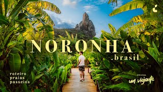 FERNANDO DE NORONHA BRASIL Viagem roteiro melhores passeios e dicas [upl. by Pickens]