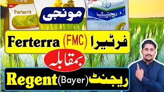 Ferterra Vs Regent  Bayer Regent VS FMC Ferterra  Apna Kisan Pakistan [upl. by Denby]