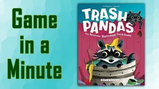 Game in a Minute Trash Pandas [upl. by Hallam]