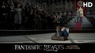 Fantastic Beasts and Where to Find Them 2016 Macusa HD [upl. by Neehcas]