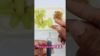 Grapefruit growth satisfying grapefruit coolgrape grapegrowing lifehacks satisfyingfruitcutt [upl. by Attekahs]