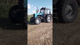 Дтп automobile мтз farming mtz agriculture mtz82 рек топ трактор farm [upl. by Lusar]