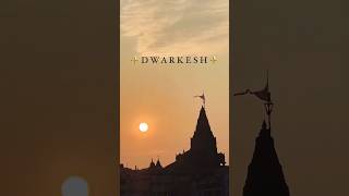 Dwarkadhish 4k status 🙌💫✨ original trending viralvideo shorts status new dwarkadhish dwarka [upl. by Aerdnas]