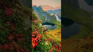 Lovely Lofoten Islands NORWAY travelsecrets travel ytshorts [upl. by Sheila280]