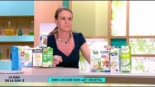 Comment bien choisir son lait végétal   Le Magazine de la santé [upl. by Ailegnave]