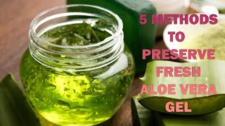 Preserve Aloe Vera Gel At Home [upl. by Salangi]