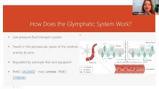 How Does the Glymphatic System Work Shorts [upl. by Jeremy]