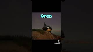 ORCA is here  New mod orca orcinus whale pathoftitans dragonhair dinosaur newdino [upl. by Oisorbma]