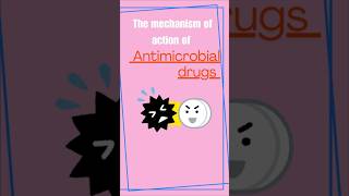 MECHANISM OF ACTION OF ANTIMICROBIAL DRUGS [upl. by Lotz]