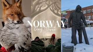 Norway Travel Vlog Day 03  Sorrisniva Ice Hotel  Alta Museum  Alta Tour  Ice Skating amp Swimming [upl. by Andromede]