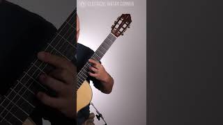 Classical vs Acoustic Guitars [upl. by Balac]