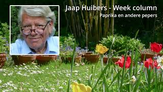 Jaap Huibers  Week column  Paprika gezond met een kleine waarschuwing [upl. by Langelo]