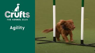 Agility – Championship – SM  Final   ​Crufts 2023 [upl. by Franzoni266]