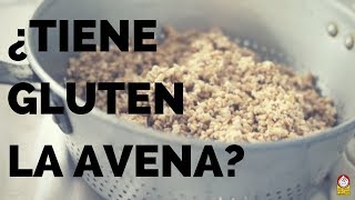 ¿La AVENA tiene GLUTEN SERIE AVENA PARTE 4 [upl. by Neda]