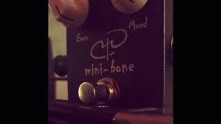 Paul Trombetta Mini Bone Fuzz pedal [upl. by Lorinda599]