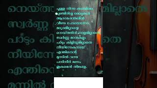 തൂമഞ്ഞിൻ Malayalam lyrics Malayalam lyrics songs coversongs [upl. by Gnen]