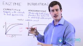 Types of Enzyme Inhibition Competitive vs Noncompetitive  MichaelisMenten Kinetics [upl. by Naeroled913]