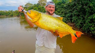 SE VOCÊ GOSTA DE PESCAR DOURADO ASSISTA ESSE VIDEO [upl. by Wakefield]