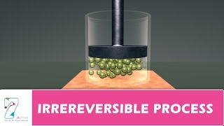 IRREREVERSIBLE PROCESS [upl. by Airtened]