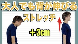 【驚愕】身長が伸びて脚やせするストレッチ【800人以上が共感】 [upl. by Ainej]