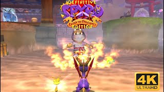 Spyro Enter the Dragonfly  Definitive Edition Mod 4K Dragonfly Dojo [upl. by Acisseg]