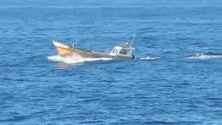 Lancha surcando el mar frente a las torpederas de Valparaiso [upl. by Ayekel743]