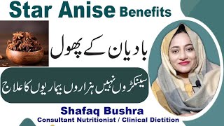 Amazing Health Benefits Of Star Anise In Urdu  Badyan Ky Phool Ky Fayde [upl. by Dukey]