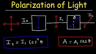 Polarization of light Problems Malus Law  Intensity amp Amplitude  Physics [upl. by Burtie]