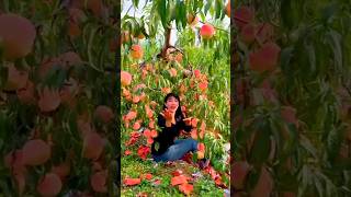 quotThe garden tree can produce highquality fruits🥰youtubeshorts shorts [upl. by Ahswat]