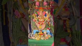 గణపతిsongtishort shorts tamil ganeshcelebrations [upl. by Sigvard]