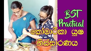 Biosystems Technolog Practical  Aloe vera juice extract  Komarika  BST Practical Sinhala [upl. by Lerner320]