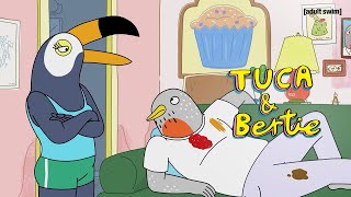 Tuca amp Bertie  Teures Hobby  Adult Swim [upl. by Sly]