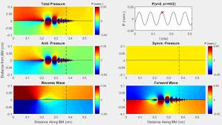 Forward and Reverse Waves Modeling Distortion Products in the Intracochlear Fluid Pressure [upl. by Tila]