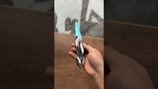 Singularity Butterfly Knife irl valorant butterflytrainer [upl. by Champagne984]