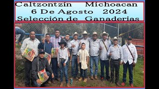 6 DE AGOSTO DEL 2024 EN CALTZOTZIN MICH SEL DE GANADERIAS  Y JINETES DE MICH [upl. by Eanahs]