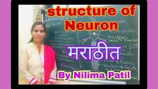 Neuron or nerve cell Structure and function in Marathi12thch9 amp11thch10 [upl. by Zed]