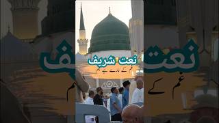 Tajdar e Haram  Naat [upl. by Anbul]