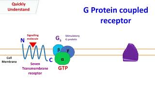 G protein coupled receptor  GPCR [upl. by Harrison]