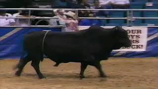 PBR 1994 Freestyle Bullfighting Demo at the Finals [upl. by Sheffie]