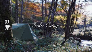 紅葉 Solo Camp [upl. by Anemaj]