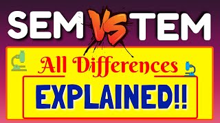 What is Difference Between SEM amp TEM  All Differences Explanation between SEM and TEM  SEM VS TEM [upl. by Jahdai]