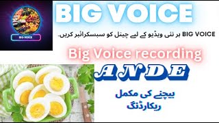 Ande Bechne Ki Awaz  Pheri Wala Voice Recording 2024 BIG voice [upl. by Suoivart98]