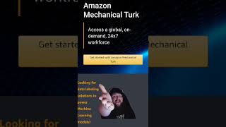 Amazon Mechanical Turk has seen better days [upl. by Icat575]