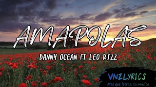 Amapolas  Danny Ocean ft Leo Rizz LetraLyrics [upl. by Novyar]