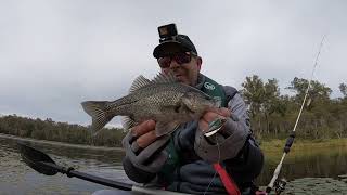 PTP Fishing  Australian bass fishing  Enoggera Reservoir [upl. by Garate402]