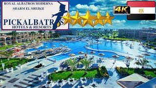 4K ROYAL ALBATROS MODERNA SHARM EL SHEIKH 2023 HOTEL GOOD BEACH RESORT EGYPT [upl. by Inattirb]