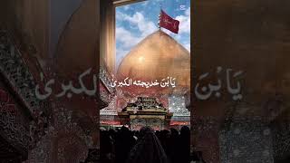 Zairat imam hussain as shortvideo imamhussain karbalastatus [upl. by Werdnael495]