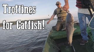 Trotline Fishing for Catfish  Toledo Bend Trip 7518 [upl. by Orravan]