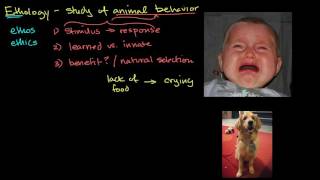 Ethology and animal behavior [upl. by Gerhard]